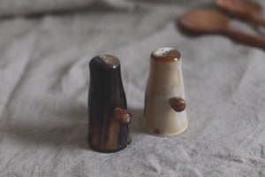 ~ salt and pepper shakers ~