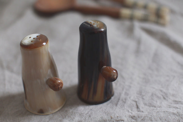 ~ salt and pepper shakers ~